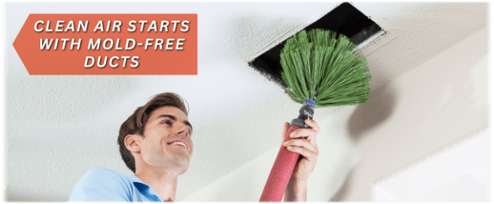 Air Duct Mold Removal in Ashburn VA