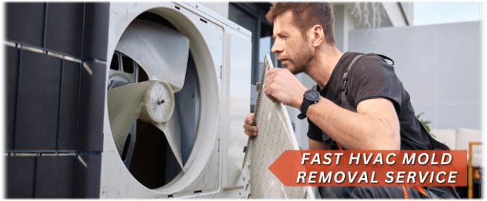 HVAC Mold Removal Ashburn VA